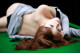 Megumi Yasu - Dream Eroticas De P10 No.f5dd15