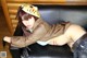 Cosplay Mikoshiba - Amamiya Nude Doggy P10 No.5c0c5b Image No. 5