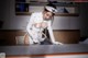 A woman in a white nurse outfit is sitting at a desk.